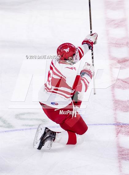 Thumbnail 1 in Winchester vs. Waltham (MIAA Division 1 North Final) photogallery.