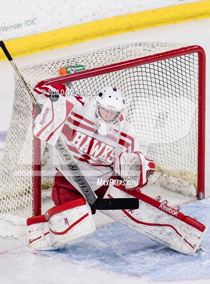 Thumbnail 1 in Winchester vs. Waltham (MIAA Division 1 North Final) photogallery.