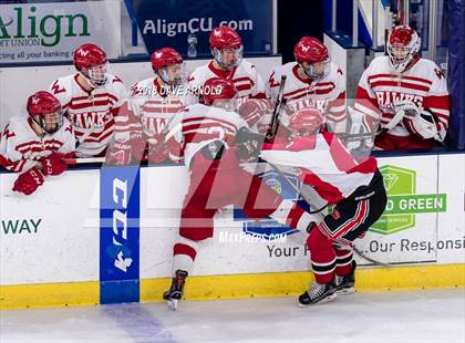 Thumbnail 1 in Winchester vs. Waltham (MIAA Division 1 North Final) photogallery.
