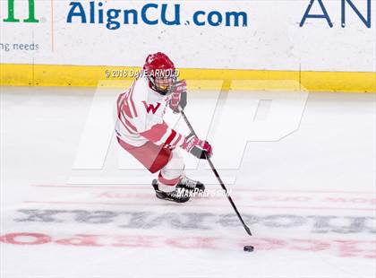 Thumbnail 3 in Winchester vs. Waltham (MIAA Division 1 North Final) photogallery.