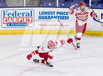 Thumbnail 1 in Winchester vs. Waltham (MIAA Division 1 North Final) photogallery.