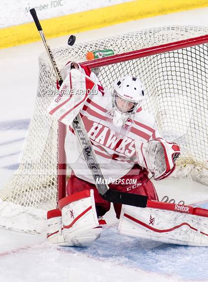 Thumbnail 2 in Winchester vs. Waltham (MIAA Division 1 North Final) photogallery.
