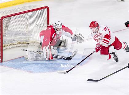 Thumbnail 1 in Winchester vs. Waltham (MIAA Division 1 North Final) photogallery.