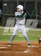 Photo from the gallery "Venice @ Lakewood Ranch"
