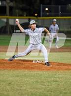 Photo from the gallery "Venice @ Lakewood Ranch"