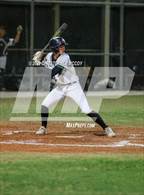 Photo from the gallery "Venice @ Lakewood Ranch"