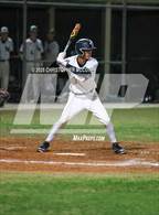 Photo from the gallery "Venice @ Lakewood Ranch"