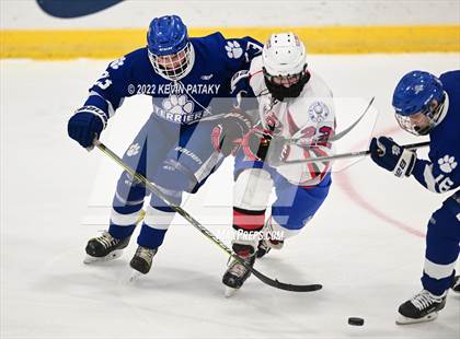 Thumbnail 2 in Rocky Hill/Middletown/Plainville/H-K  @ E.O. Smith/Tolland photogallery.