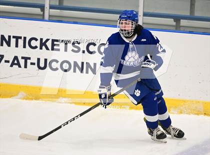 Thumbnail 3 in Rocky Hill/Middletown/Plainville/H-K  @ E.O. Smith/Tolland photogallery.