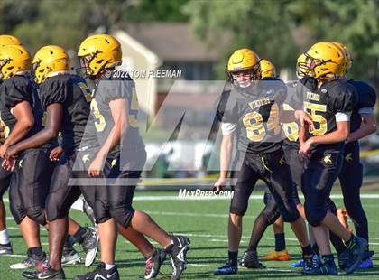 Thumbnail 2 in Mill Valley @ Shawnee Mission West photogallery.