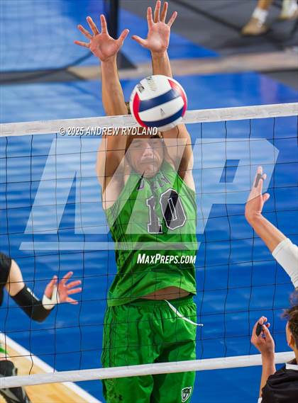 Thumbnail 2 in D'Evelyn vs. Pueblo South (CHSAA 4A Round2 M6) photogallery.