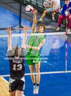 Photo from the gallery "D'Evelyn vs. Pueblo South (CHSAA 4A Round2 M6)"