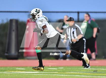 Thumbnail 3 in Ellison @ Vandegrift photogallery.