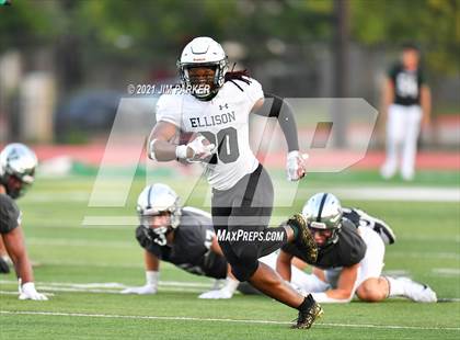 Thumbnail 2 in Ellison @ Vandegrift photogallery.