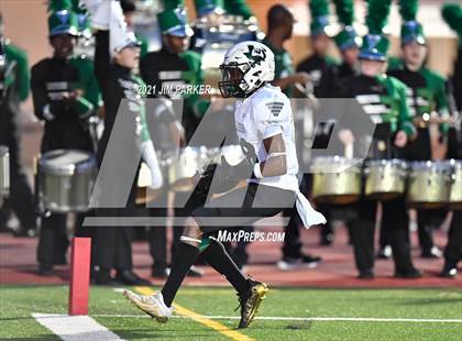 Thumbnail 1 in Ellison @ Vandegrift photogallery.