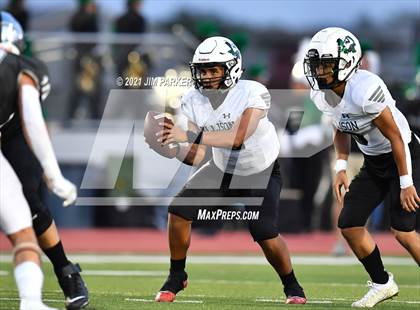 Thumbnail 3 in Ellison @ Vandegrift photogallery.