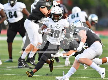 Thumbnail 1 in Ellison @ Vandegrift photogallery.