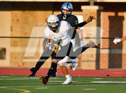 Thumbnail 1 in Ellison @ Vandegrift photogallery.