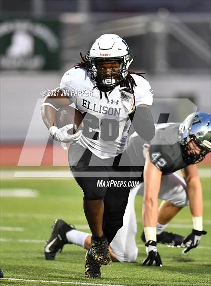Thumbnail 2 in Ellison @ Vandegrift photogallery.