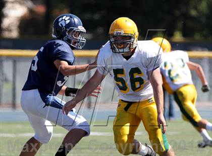 Thumbnail 3 in San Marin @ Marin Catholic photogallery.