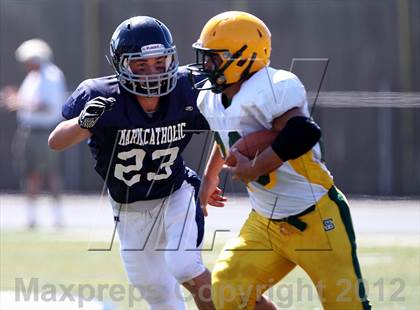 Thumbnail 2 in San Marin @ Marin Catholic photogallery.