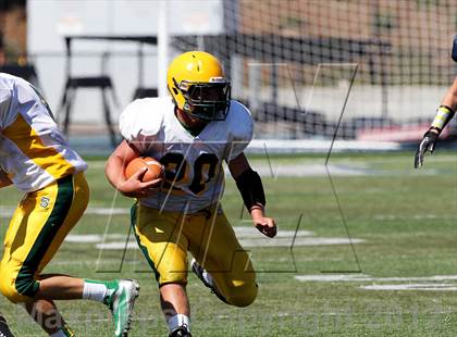 Thumbnail 3 in San Marin @ Marin Catholic photogallery.