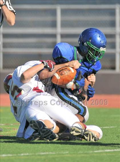 Thumbnail 3 in Ponderosa @ Doherty photogallery.
