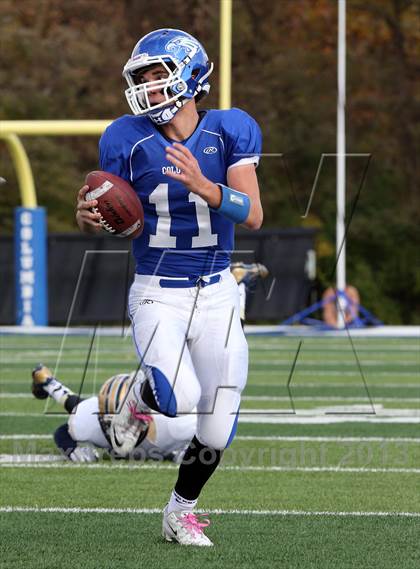 Thumbnail 1 in Althoff @ Columbia (IHSA 4A 1st Round Playoff)  photogallery.