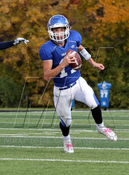 Thumbnail 1 in Althoff @ Columbia (IHSA 4A 1st Round Playoff)  photogallery.