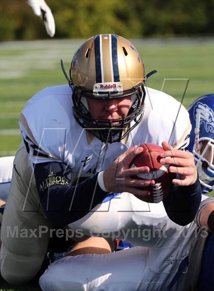 Thumbnail 1 in Althoff @ Columbia (IHSA 4A 1st Round Playoff)  photogallery.