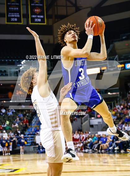 Thumbnail 2 in Covington Catholic vs Lloyd (9th Region Semifinal) photogallery.