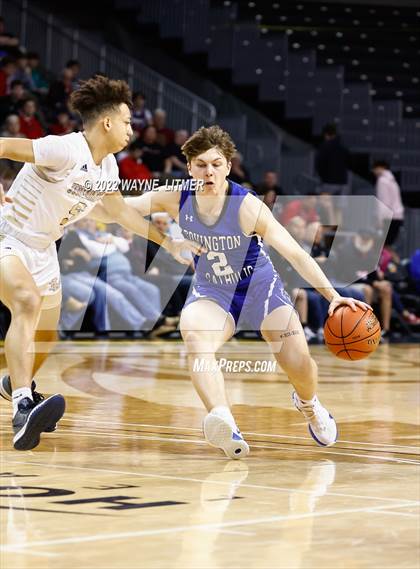 Thumbnail 3 in Covington Catholic vs Lloyd (9th Region Semifinal) photogallery.