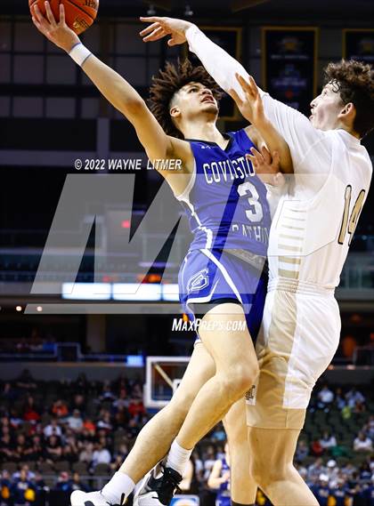 Thumbnail 3 in Covington Catholic vs Lloyd (9th Region Semifinal) photogallery.