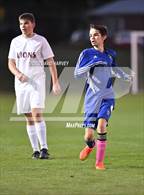 Photo from the gallery "Littleton @ Alameda"