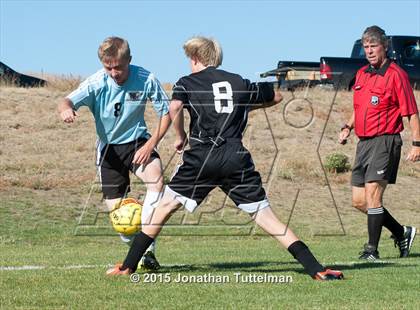 Thumbnail 3 in Palmer @ Vista Ridge photogallery.