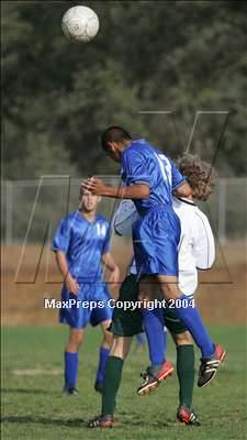 Thumbnail 3 in El Dorado @ Ponderosa photogallery.