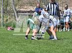 Photo from the gallery "Conifer @ Mullen"