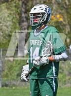 Photo from the gallery "Conifer @ Mullen"