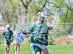 Photo from the gallery "Conifer @ Mullen"