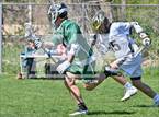 Photo from the gallery "Conifer @ Mullen"