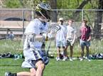 Photo from the gallery "Conifer @ Mullen"