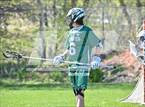 Photo from the gallery "Conifer @ Mullen"