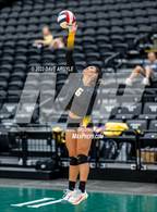 Photo from the gallery "Bingham vs. Wasatch (Utah Valley Invitational)"