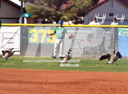Thumbnail 1 in Palo Verde @ Green Valley photogallery.