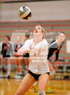 Photo from the gallery "Antelope @ Roseville"