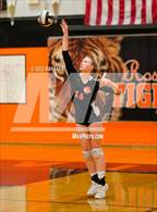 Photo from the gallery "Antelope @ Roseville"