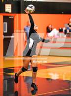 Photo from the gallery "Antelope @ Roseville"