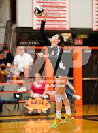 Photo from the gallery "Antelope @ Roseville"