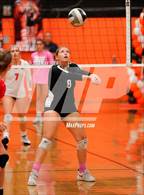 Photo from the gallery "Antelope @ Roseville"