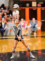 Photo from the gallery "Antelope @ Roseville"